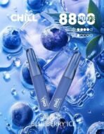 【新品上市】CHILL 抛棄式電子煙-8800口 | 鴨嘴造型新體驗 × 熱門爆款：圖片 6