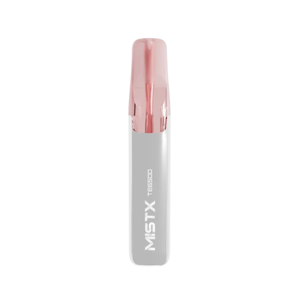 【王嘉爾同款】MISTX鴨嘴獸拋棄式-6500口  | 超火爆品 質感絕佳